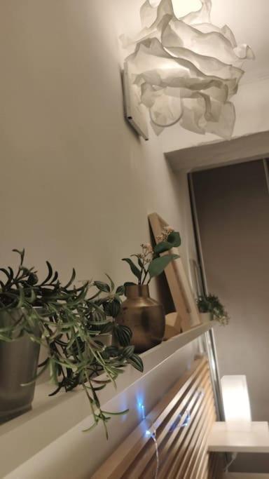 Appartement - Brando ภายนอก รูปภาพ